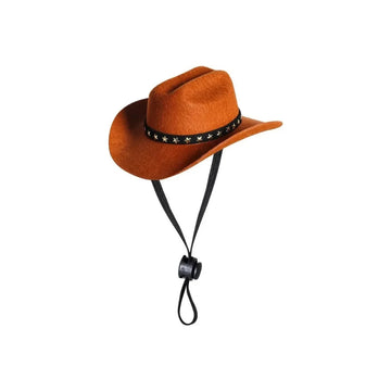 Chapeau de chat de cowboy avec chapeau de chien étoiles