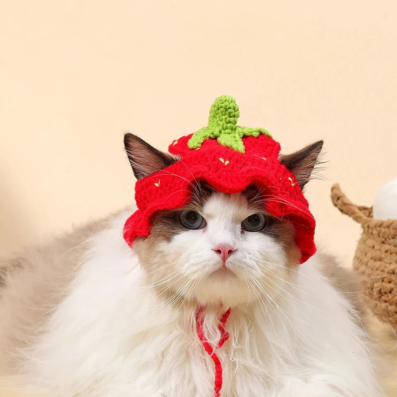 Crochet hat for cat strawberry fruit red green crochet cat hat cute do