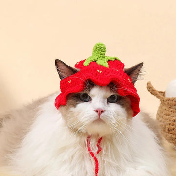 Sombrero de ganchillo para gato fresa fruta rojo verde crochet gato sombrero lindo sombrero de perro