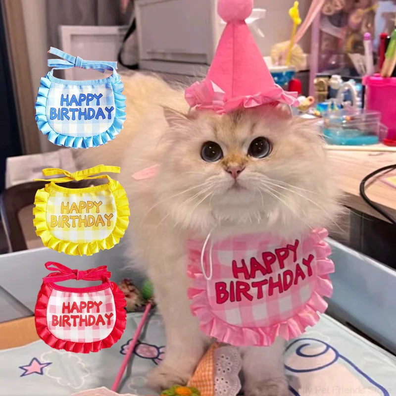 Chapeau de fête pour chat, écharpe pour chat, chapeau d'anniversaire pour chat