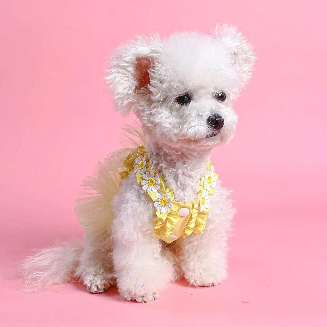 Dog summer dress cute dog dress yellow dog dress dog clothes for small and medium dogs cat dress