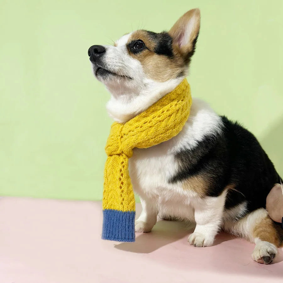 Crochet dog scarf in yellow cool cat scarf knitted dog scarf