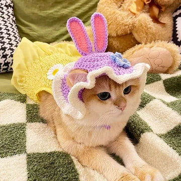 Lindo sombrero de gato un sombrero de gato de ganchillo de conejo púrpura sombrero de perro