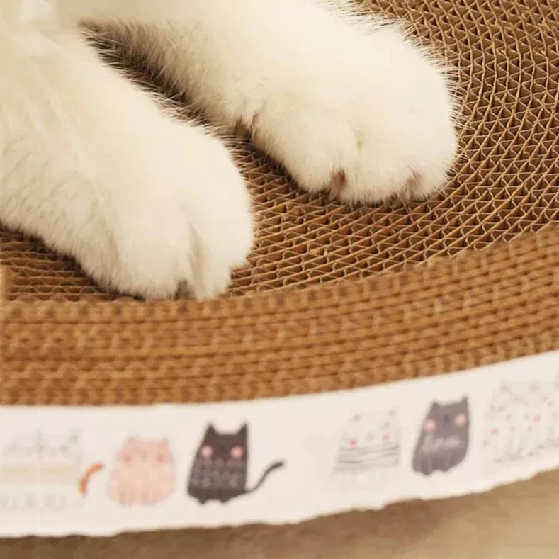 Cat scratcher bed round cat bed