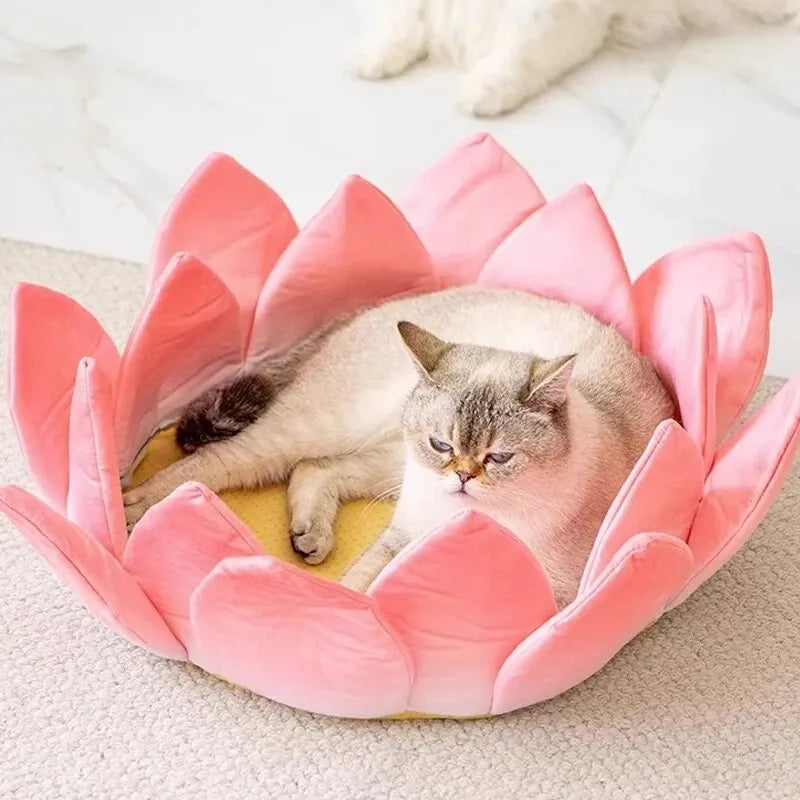 Cozy cat bed in a lotus flower funny and fancy