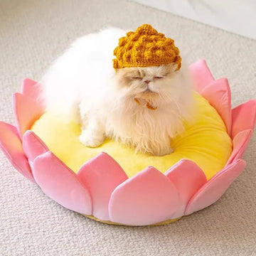 Lit douillet pour chat en fleur de lotus rigolo et fantaisie