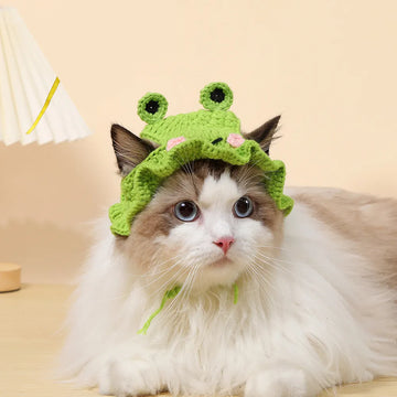 Crochet cat hat with a green frog cat accessory dog hat