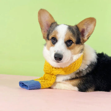 Crochet dog scarf in yellow cool cat scarf knitted dog scarf