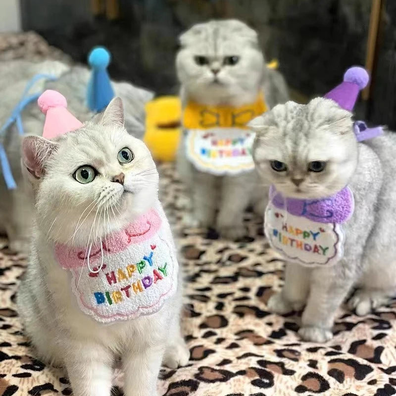 Chapeau d'anniversaire pour chats pour chiens, chapeau de fête pour animaux de compagnie