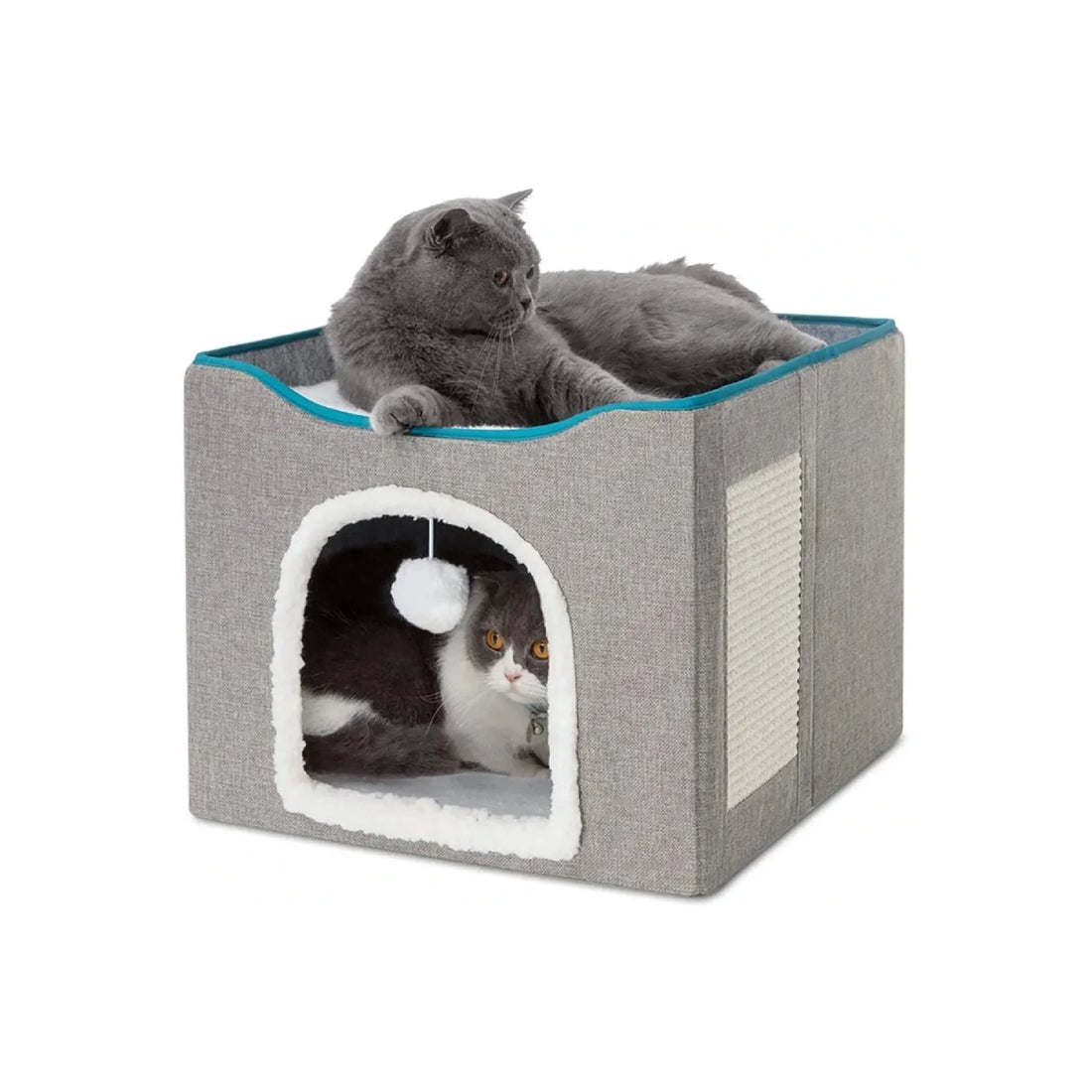 Lit cube pour chat avec un lit superposé à gratter, lit mezzanine pour 2 chats, lit en boîte