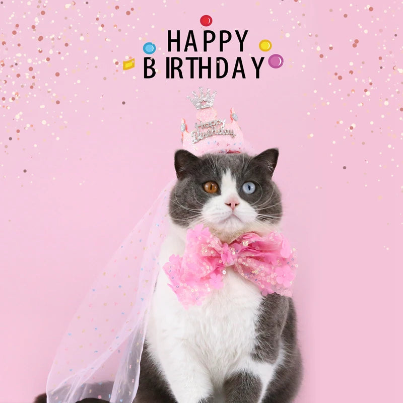 Cat birthday outfit with a bow tie birthday hat for a cat cat tiara birthday costume for cats and dogs party hat