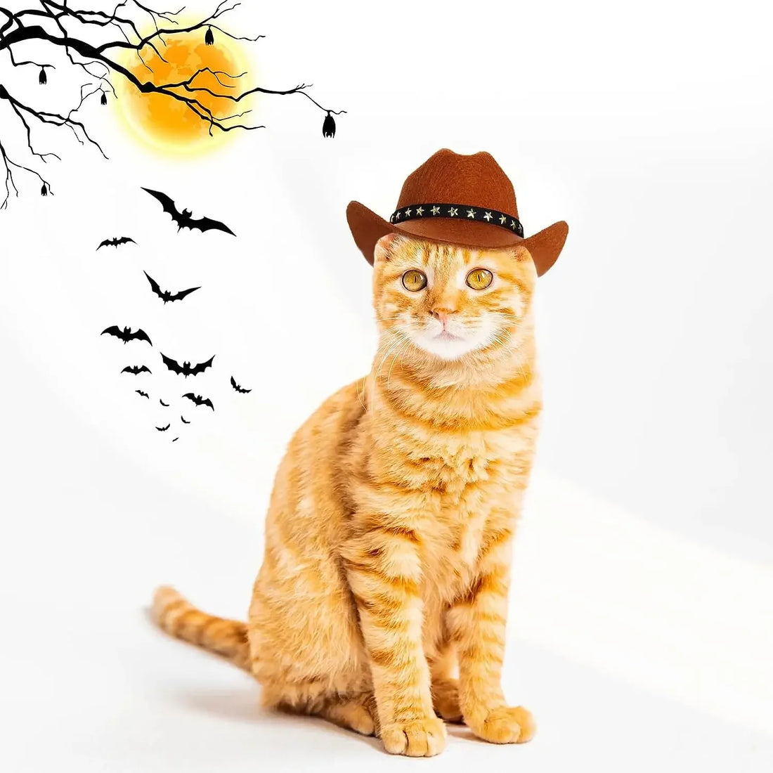 Cowboy cat hat with stars dog hat