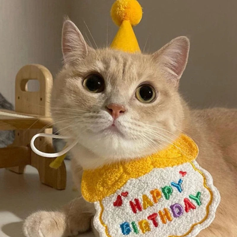 Chapeau d'anniversaire pour chats pour chiens, chapeau de fête pour animaux de compagnie