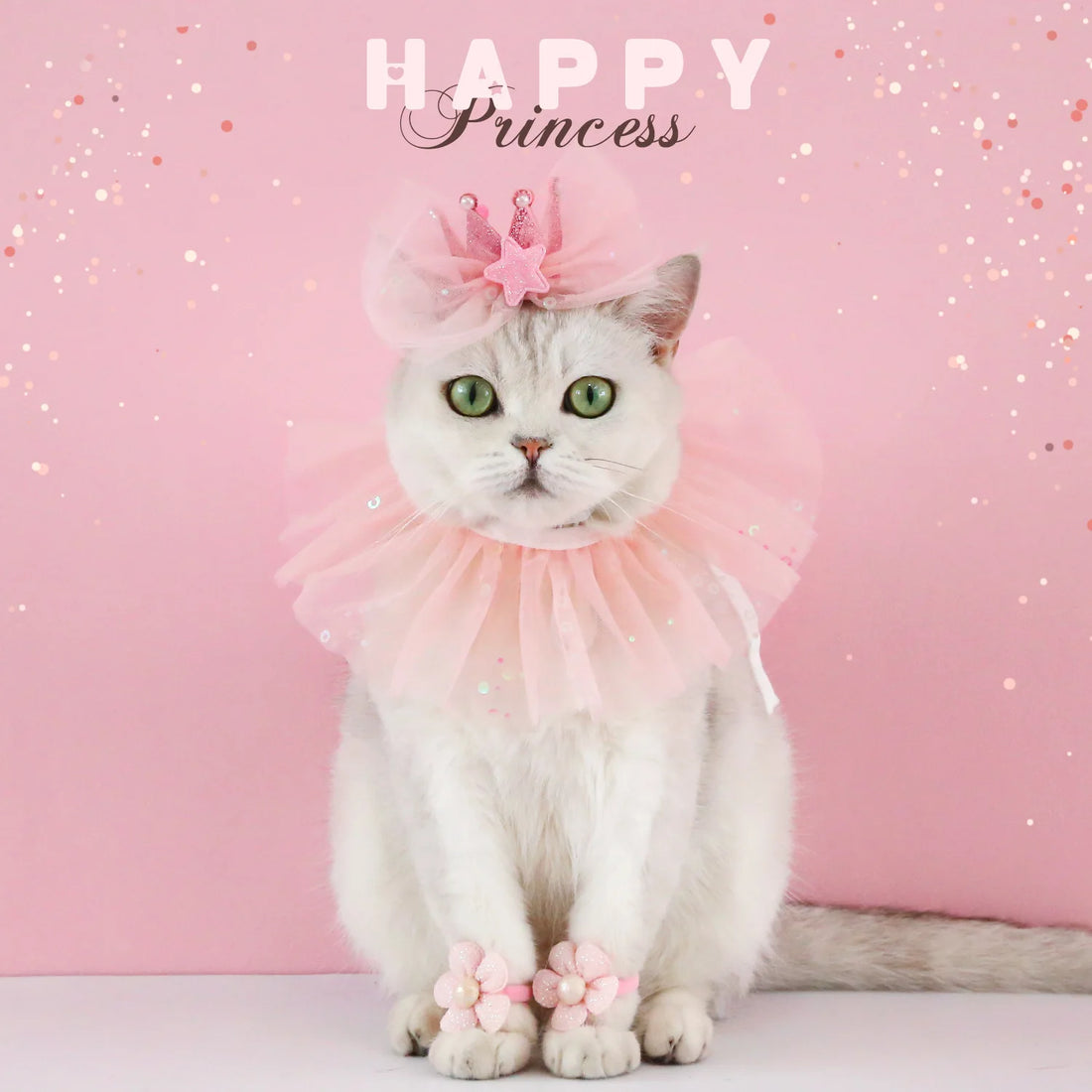 Chapeau de fête pour chat, costume de princesse chat rose, collier de princesse pour chat