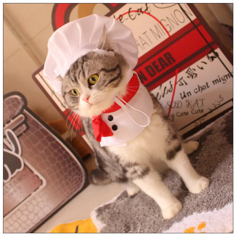 Cat chef hat cat scarf chef hat for cat cat chef costume for cats and dogs