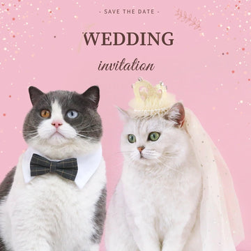 Diadème de chat, couronne de chat, voile de mariage, vêtements de mariage, costume de princesse pour chats et chiens