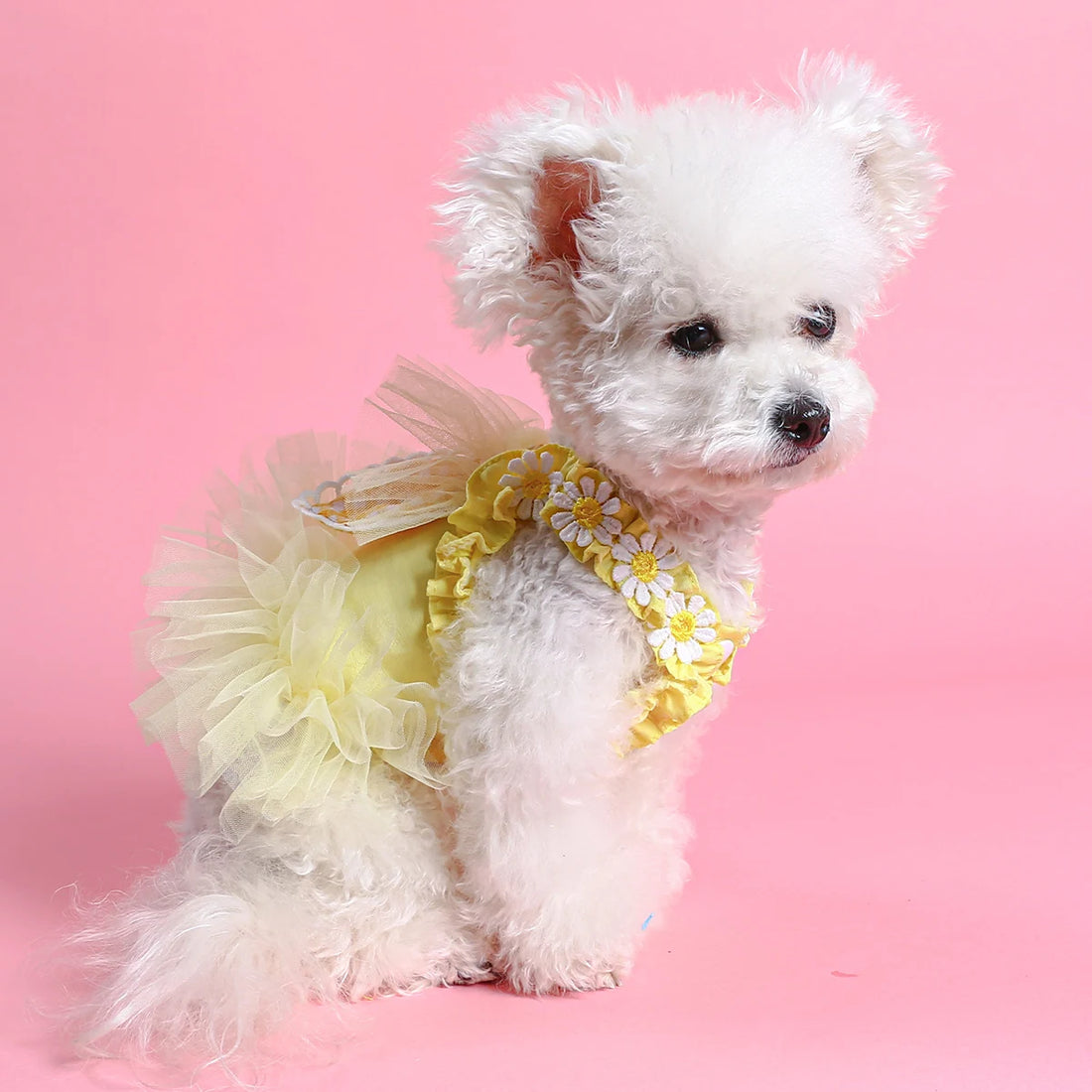 Dog summer dress cute dog dress yellow dog dress dog clothes for small and medium dogs cat dress